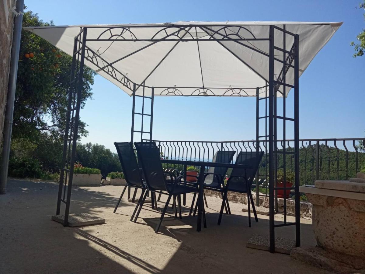 Holiday Apartments Maslina Paho Babino Polje Luaran gambar