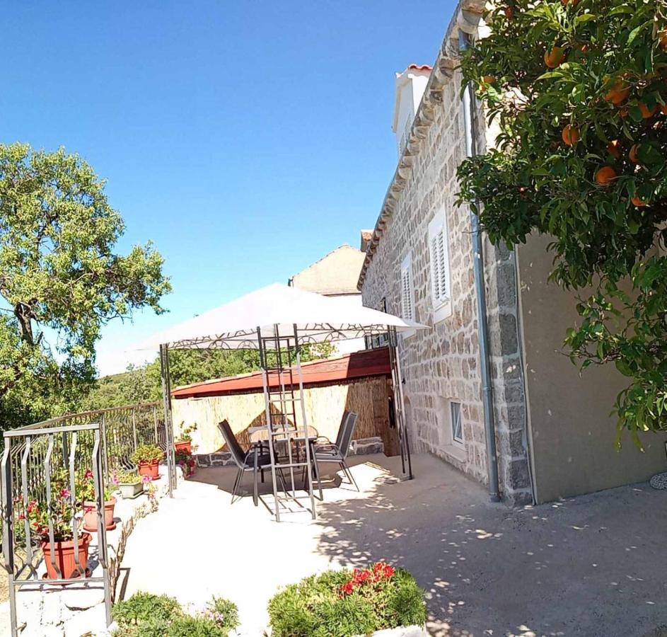 Holiday Apartments Maslina Paho Babino Polje Luaran gambar