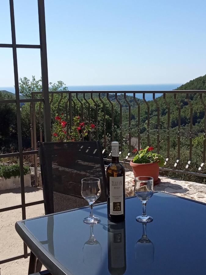 Holiday Apartments Maslina Paho Babino Polje Luaran gambar