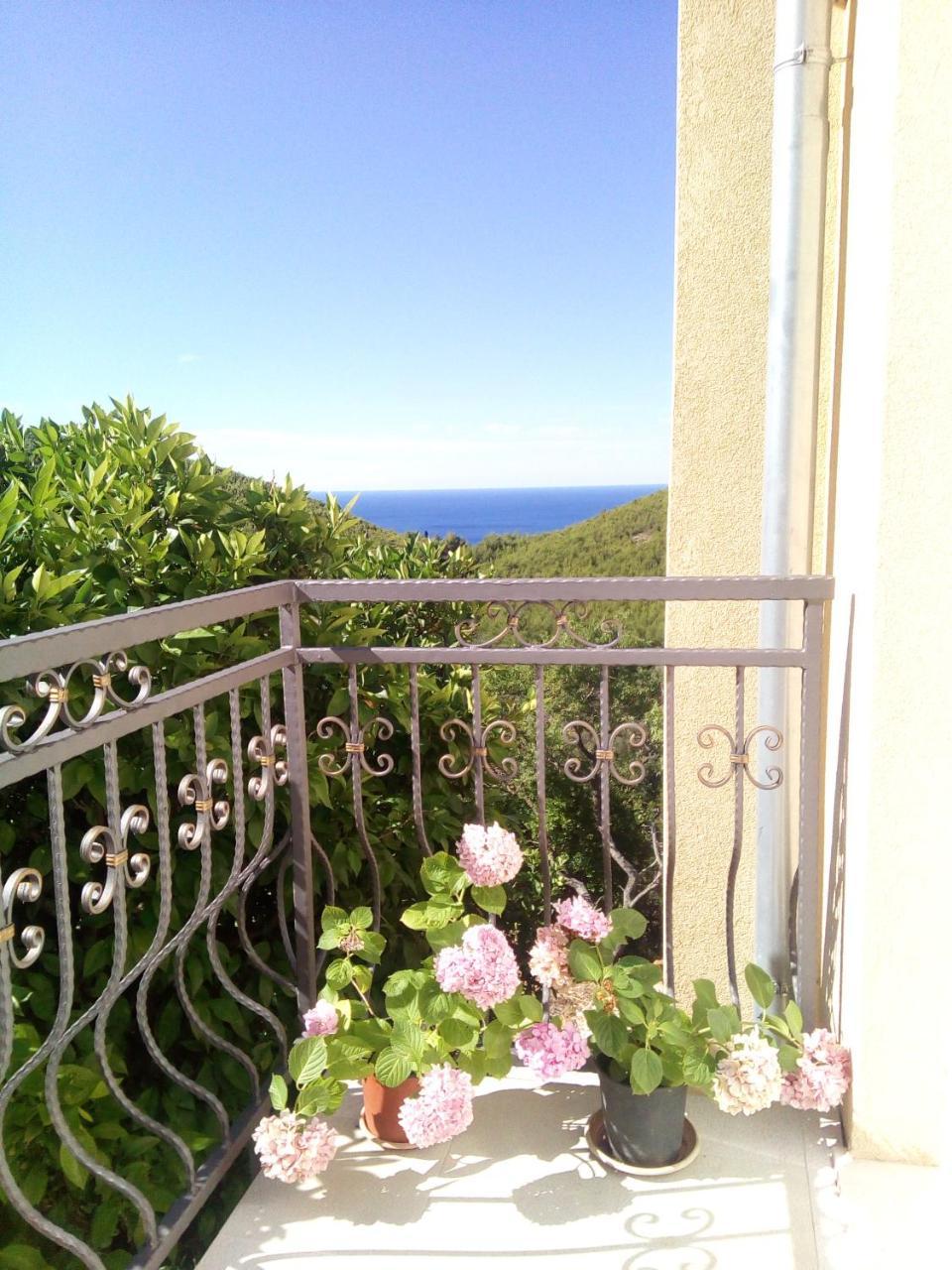 Holiday Apartments Maslina Paho Babino Polje Luaran gambar