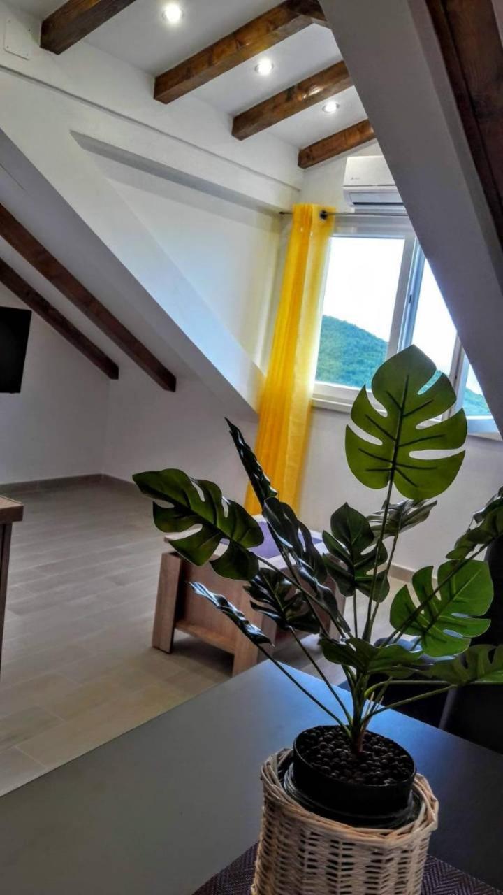 Holiday Apartments Maslina Paho Babino Polje Luaran gambar