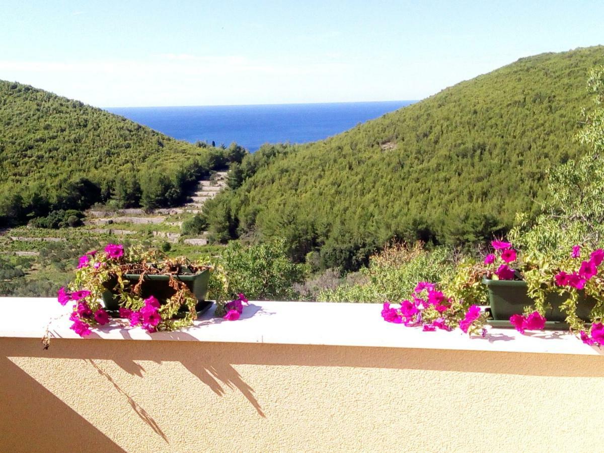 Holiday Apartments Maslina Paho Babino Polje Luaran gambar